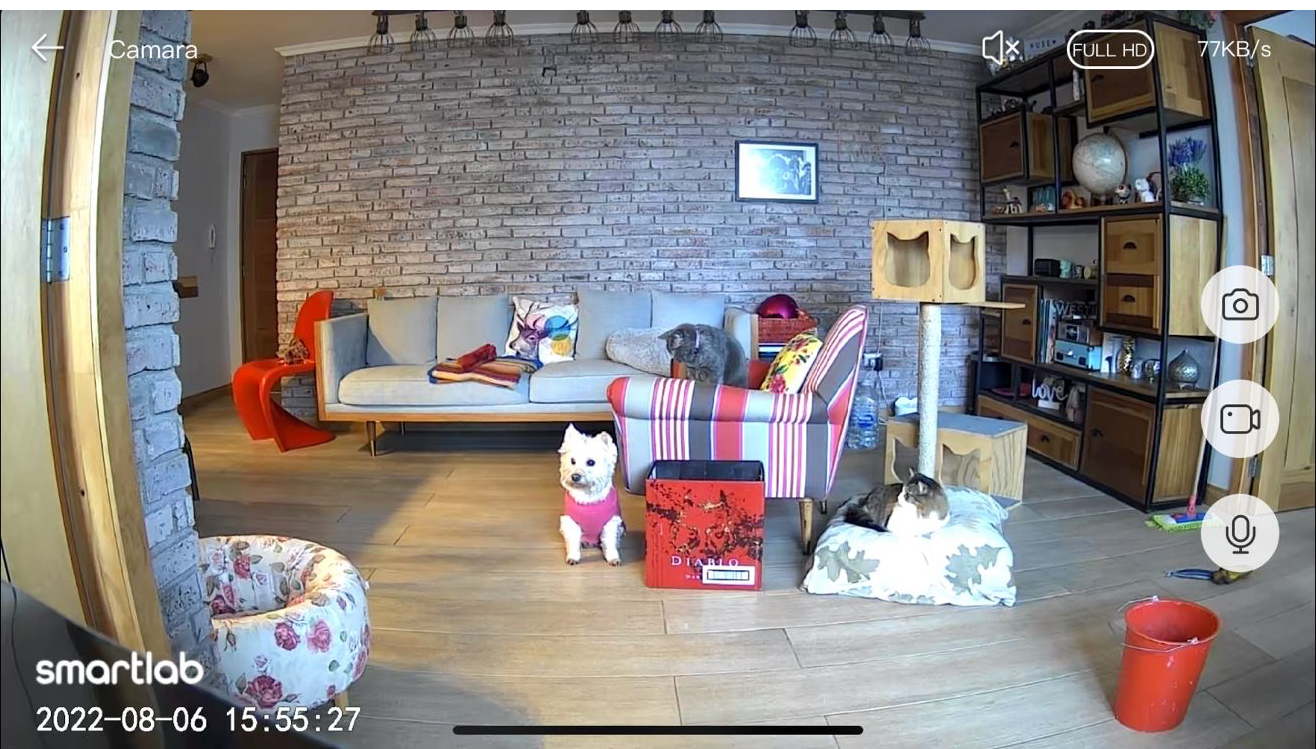 Smart Cam + SAFE Tag Mascotas